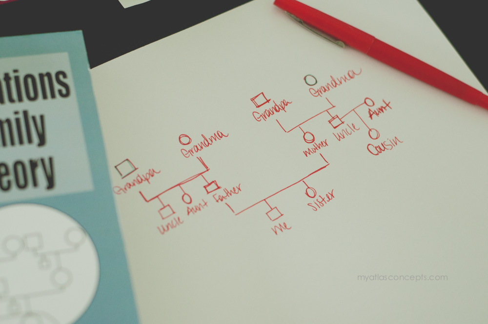 The Genogram Atlas Concepts